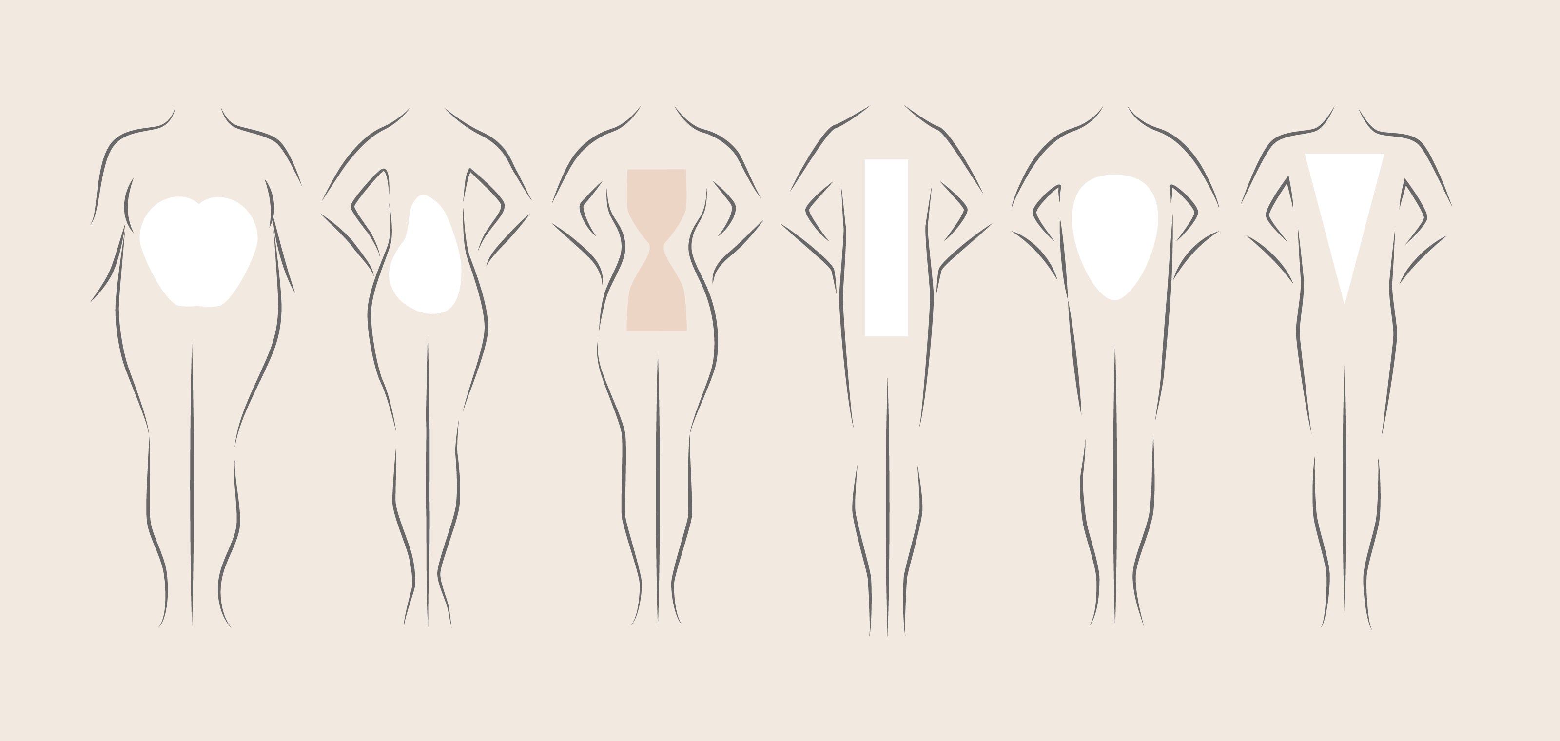 Female Body Types Stock Illustration  Download Image Now  Hourglass Shape  The Human Body  iStock